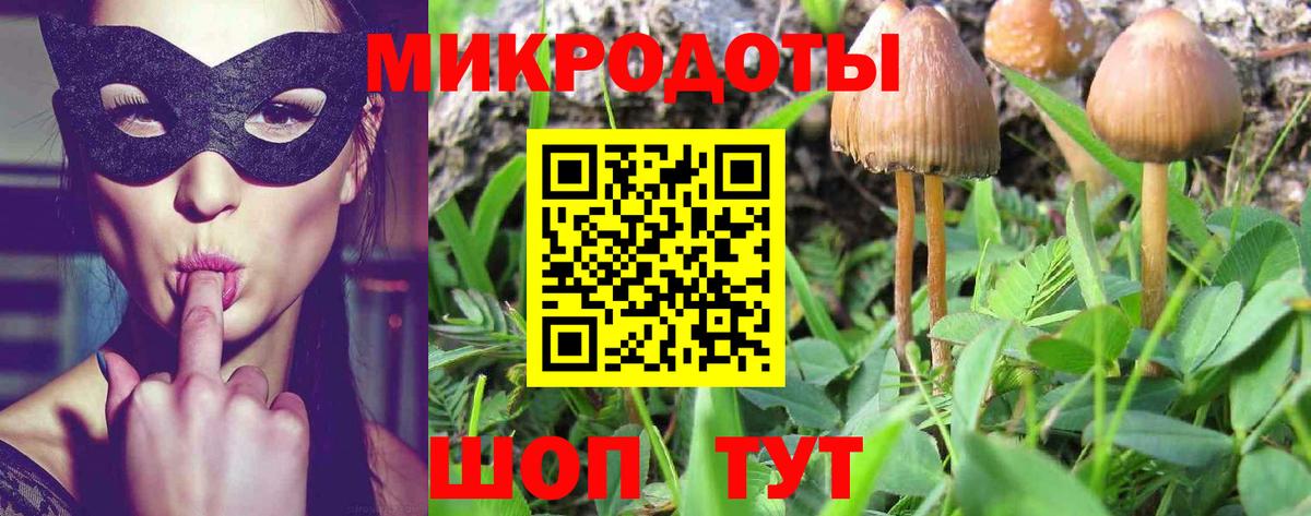 Галлюциногенные грибы Psilocybine cubensis  Галлюциногенные грибы ЛСД  Евпатория  Вход с VPN 